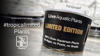 Introducing Tropica Limited Edition Aquarium Plants for EU countries