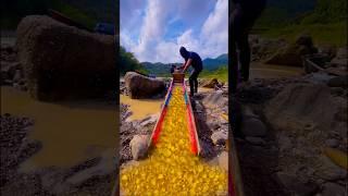 The process of mining gold in the river and the results are satisfactory #discoveringgold #gold