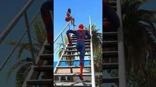 RedLancer: Spider-Man Ragdolls 75 (Shark)