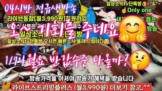 활어횟감 방어 숭어 생굴 전복 갈치 1/7일 04시반 정규라이브(월~토)️Only one 새롭고 싸고 다양한 노량진수산시장 새벽 쇼핑을 돕는 정규생방송(Live)운영~^^