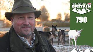 Fieldsports Britain – Roy’s frosty fallow stalk