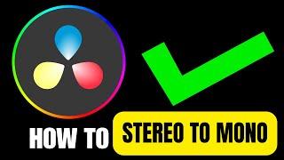 How To Change Stereo To Mono in Davinci Resolve (2024)