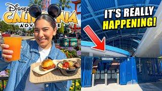  (BIG CHANGES!) NEW 2025 Disneyland Resort UPDATES! | New Foods, Merch, Rides, GIVEAWAY + MORE!