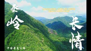 微型纪录片-中国最美公路之秦岭长情 | Mini-Documentary - China's Most Beautiful Highway of Qinling Highway