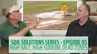 Soil Solutions Series | Ep. 05 | Dead Zones in Soil #soilhealth #regenerativeagriculture