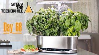 AeroGarden Bounty Day 68 Review - Is It Still Worth It?