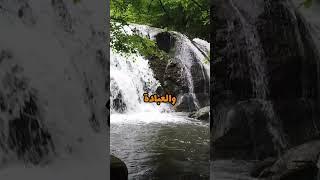 الحكمة من الفتن والبلايا: دروس إيمانية ومقاصد سامية