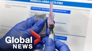 Coronavirus: Canada secures Pfizer, Moderna COVID-19 vaccine candidates in new deals