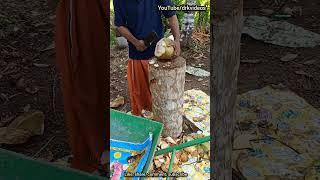 Tender coconut cutting skills #coconut #tendercoconut