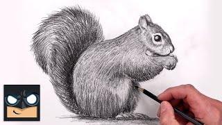 How To Draw a Squirrel  YouTube Studio Sketch Tutorial