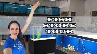 Fish Store Tour :  Québec Cichlidés + How we've been handling the pandemic