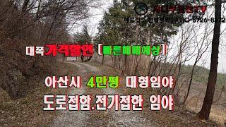 매매완료대폭가격할인ㅣ 아산시 4만평 대형임야ㅣ 충청남도 아산시 임야ㅣ도로접. 초입에 전봇대 있어 전기 인입 수월한 임야#임야매매 #충청남도임야 #저렴한임야  #임업인 #임업후계자