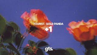 Tourist, Gold Panda - +1