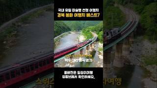 미슐랭이 인정한 여행지 봉화 가볼만한곳 7 #경북여행 #국내여행 #국내여행지추천 #봉화여행 #백두대간협곡열차 #경상도여행 #대한민국구석구석