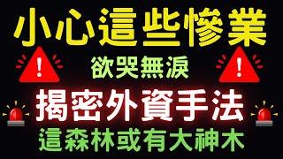 小心這些慘業，欲哭無淚；揭密外資手法；這森林或有大神木|股市|映泰|鴻海|台積電|美債|港股|大陸A股|三大法人|通膨|台幣|美元|存股|股票|衛星|10/17/24【宏爺講股】