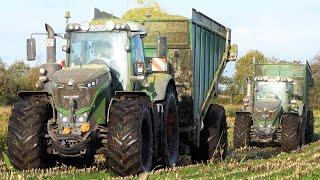 Fendt 1038 & 1042 Vario on Duty in Muddy Corn Fields | Maisernte - Mais Silage 2024