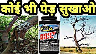 Root kill se ped sukhaye || रूट किल से पेड़ सुखाये || Ped ko