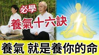 #佛禪  不看後悔！養好你的氣「就是養好你的命」人有16種氣！為何說伍仔用生命拍片？要健康要長壽「就必須知道」古人《養氣十六決》