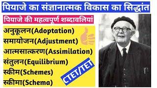 पियाजे के महत्वपूर्ण बिंदु |संतुलन,आत्मसात्करण, समायोजन, स्कीम,स्कीमा आदि