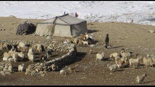 Korzok, Tsomoriri - Changthang Plateau, Ladakh