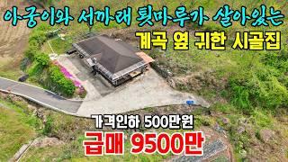 (500만원 가격인하) 급매9500만원 계곡 옆 아궁이와 서까래, 툇마루가 살아있는 귀한 농가주택 시골집 촌집매매 충남 공주부동산~행운땅 행운집부동산TV 싼집 싼땅