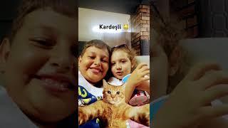 Kardeşim kedi #drpro