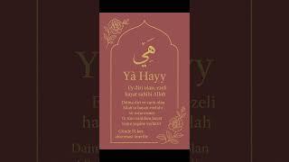 Sonsuz Hayatın Sırrı bu İsimde  Gizli... #esmaülhüsna #kuranıkerimmeali #quran  #tasavvuf