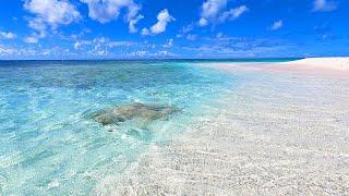 Beautiful Beach Screensaver From Princess Diana Beach