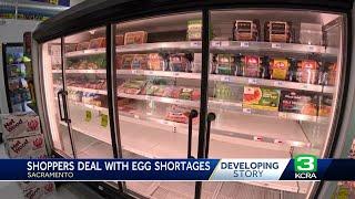 Sacramento shoppers struggle to find eggs at grocery stores