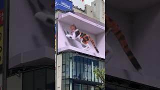 3D Billboard Shinjuku Tokyo featuring Cat Neko Kawaii