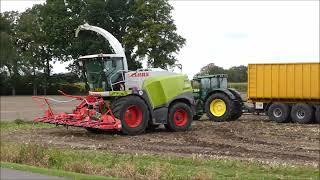 Aernouts - Tax  mais hakselen 2023 (1) , Claas Jaguar 960