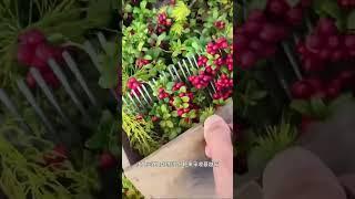 那些极度舒适的农业生产现场，太解压了#综艺 #解说 #解說