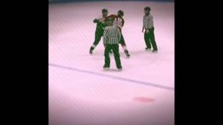 PEI Senior Hockey Fights