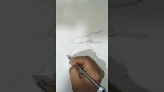 spider drawing️️