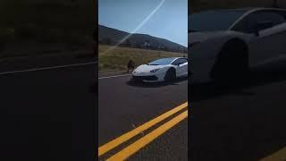 Just Listen to that Gintani Sing! - Insane Lamborghini SVJ Flyby  #shorts