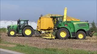 Aernouts - Tax mais hakselen 2023 (2) , John Deere 8600