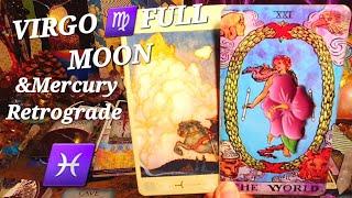 ️ PISCES REIGNITION OF YOUR INSTINCTS LEADING YOU TO YOUR DREAM ️ VIRGO FULL MOON READING