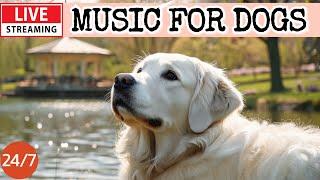24 Hours of Dog MusicDog Calming MusicSeparation Anxiety ReliefRelaxing Music for Dog Sleep18