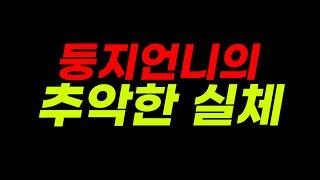 "이건 사기 아니야...?!" 여행유튜버 둥지언니의 추악한 실체(feat. 반복해온 거짓말)