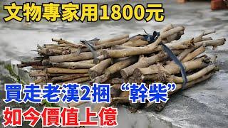 文物專家用1800元，買走老漢2捆“幹柴”，如今價值上億【奇寶異聞】#鑒寶#古玩#奇聞#銀元#寶物#賞寶