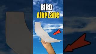 This plane flies exactly like a bird | how to make a paper airplane 