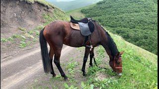 Тренинг и отдых в горах.Training and recreation in the mountains