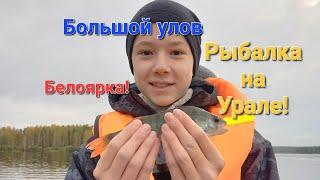 Водохранилище полное рыбы, богатый улов на спиннинг #рыбалка #рыба