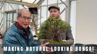 Making natural looking bonsai