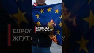 В Италии восстали против политики ЕС! #политика #евросоюз #новости #протесты #беспорядки