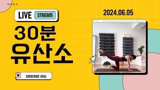 06.05/30분 유산소