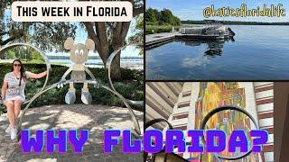 Why Florida! Weekly Vlog