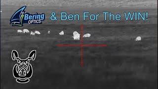 Bering Optics & Ben For The WIN!  5 Hogs +11 Onboard