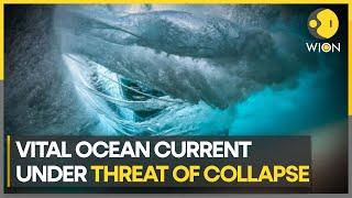 Vital ocean currents could collapse by mid-century: Study | World News | WION