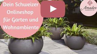 Amadeo Ambiente - Dein Schweizer Garten-Onlineshop